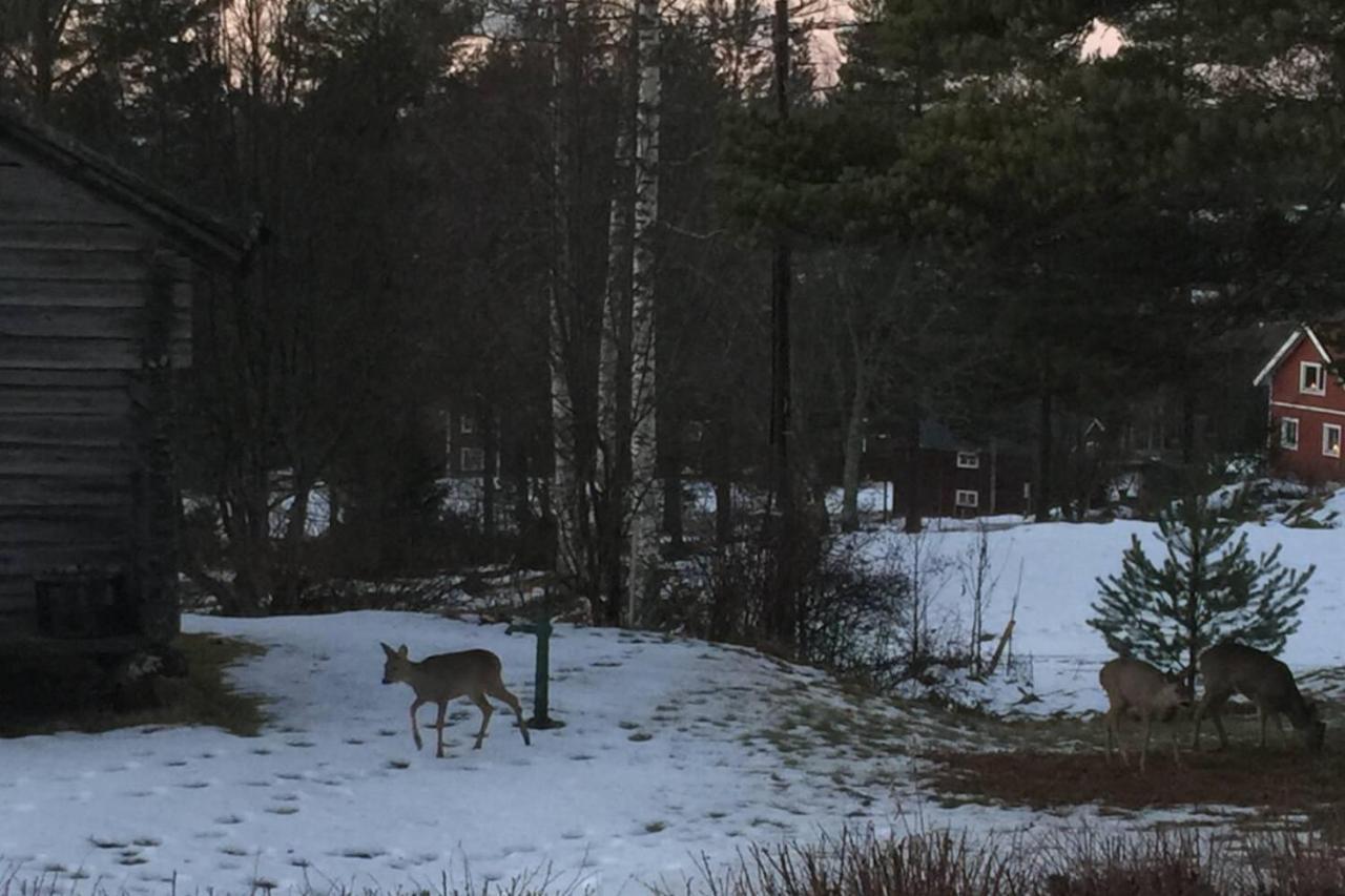 Beautiful 4-5 Persons Cottage In Alvdalen Blyberg Esterno foto